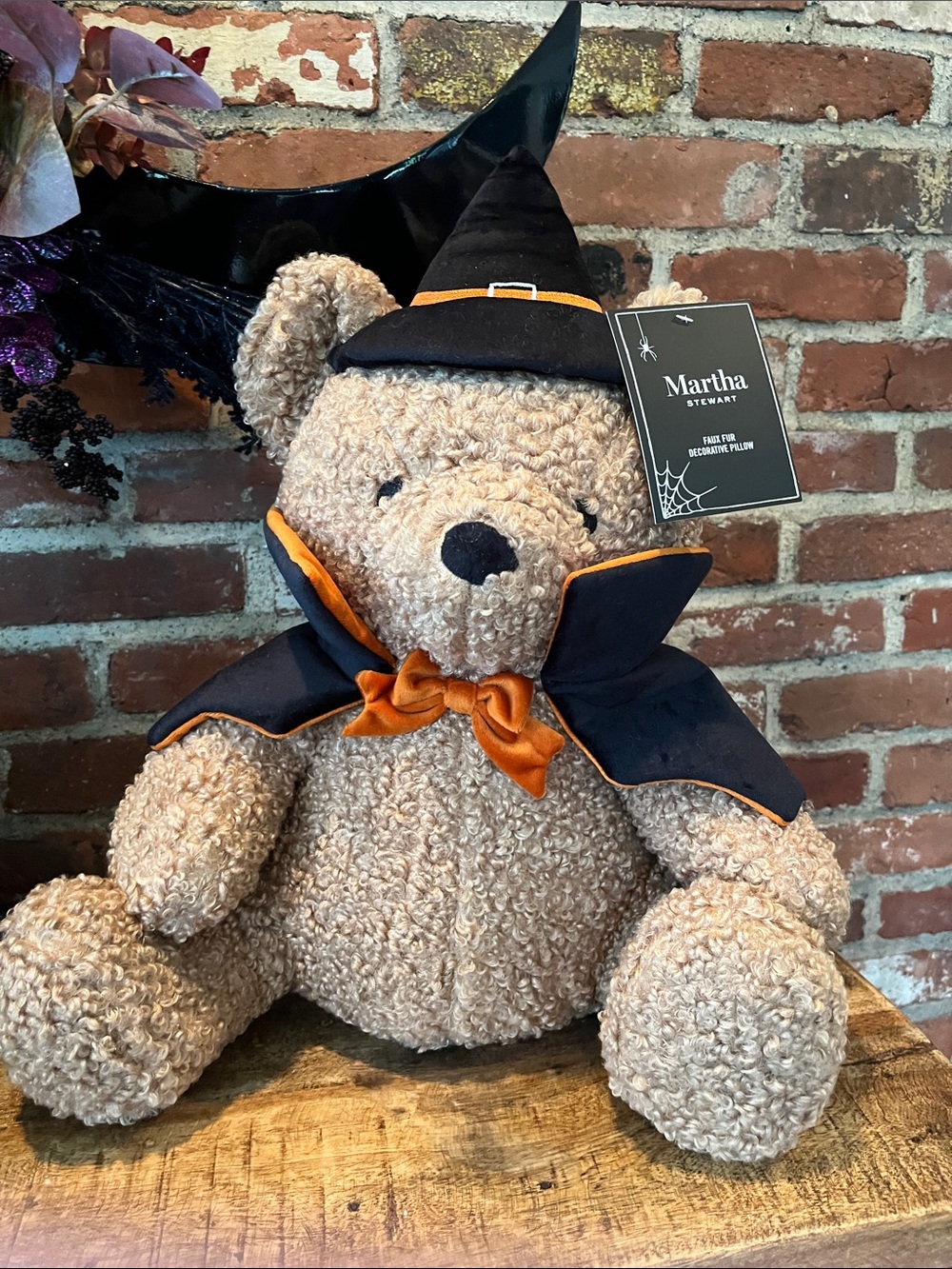 Martha Stewart Plush Bear Halloween Costume in Black & Orange